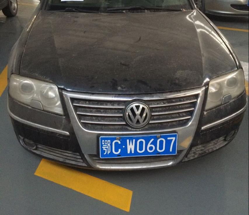 帕薩特鄂CW0607